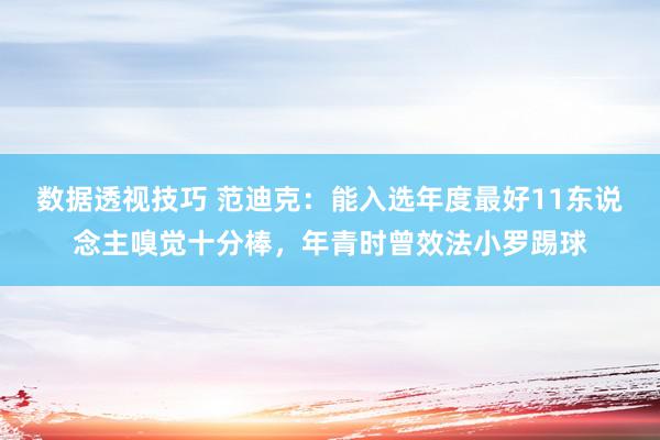 数据透视技巧 范迪克：能入选年度最好11东说念主嗅觉十分棒，年青时曾效法小罗踢球