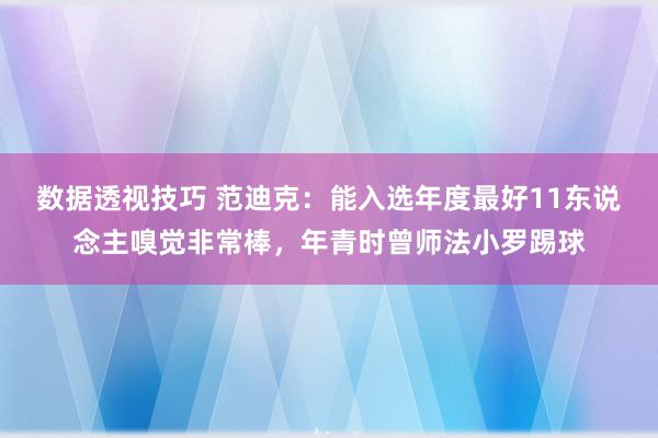 数据透视技巧 范迪克：能入选年度最好11东说念主嗅觉非常棒，年青时曾师法小罗踢球