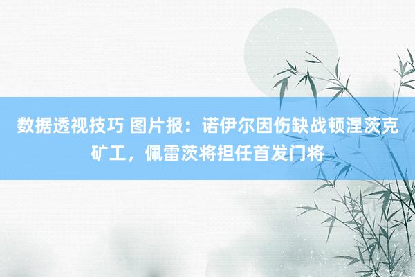 数据透视技巧 图片报：诺伊尔因伤缺战顿涅茨克矿工，佩雷茨将担任首发门将