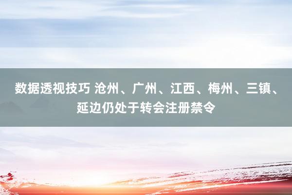 数据透视技巧 沧州、广州、江西、梅州、三镇、延边仍处于转会注册禁令