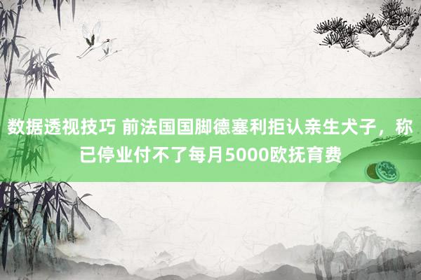 数据透视技巧 前法国国脚德塞利拒认亲生犬子，称已停业付不了每月5000欧抚育费