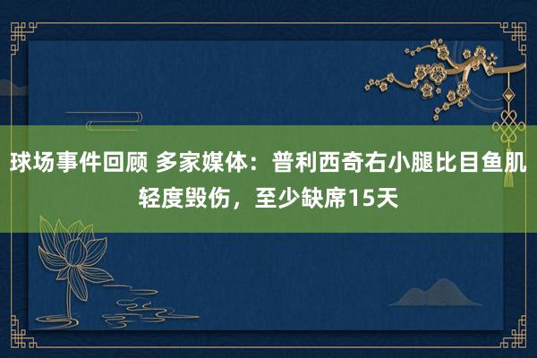 球场事件回顾 多家媒体：普利西奇右小腿比目鱼肌轻度毁伤，至少缺席15天