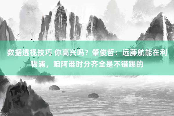 数据透视技巧 你高兴吗？肇俊哲：远藤航能在利物浦，咱阿谁时分齐全是不错踢的