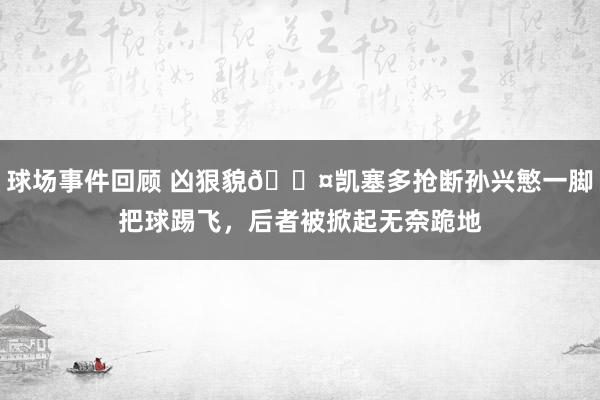 球场事件回顾 凶狠貌😤凯塞多抢断孙兴慜一脚把球踢飞，后者被掀起无奈跪地