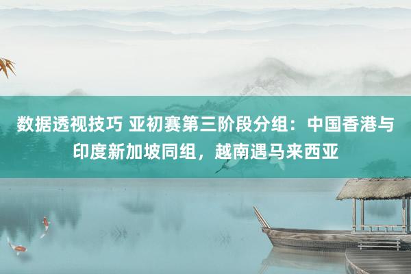 数据透视技巧 亚初赛第三阶段分组：中国香港与印度新加坡同组，越南遇马来西亚