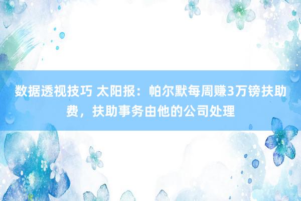 数据透视技巧 太阳报：帕尔默每周赚3万镑扶助费，扶助事务由他的公司处理