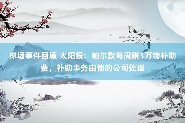 球场事件回顾 太阳报：帕尔默每周赚3万镑补助费，补助事务由他的公司处理