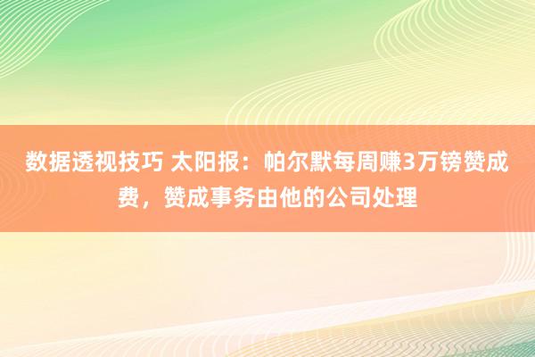 数据透视技巧 太阳报：帕尔默每周赚3万镑赞成费，赞成事务由他的公司处理