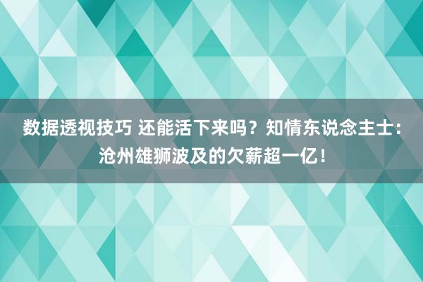 数据透视技巧 还能活下来吗？知情东说念主士：沧州雄狮波及的欠薪超一亿！