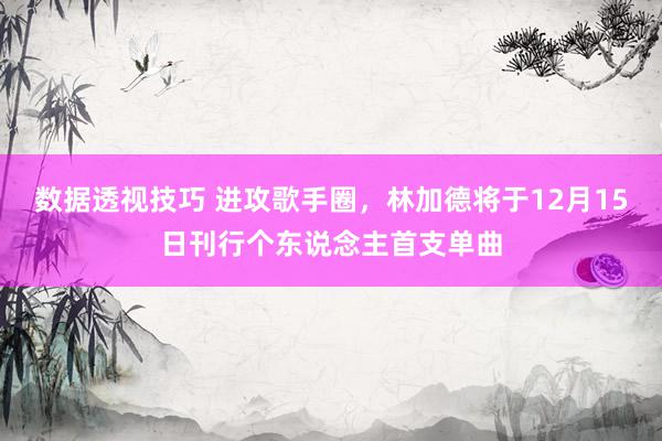 数据透视技巧 进攻歌手圈，林加德将于12月15日刊行个东说念主首支单曲