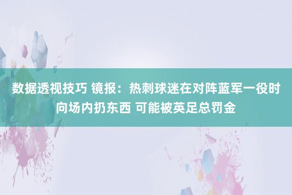 数据透视技巧 镜报：热刺球迷在对阵蓝军一役时向场内扔东西 可能被英足总罚金