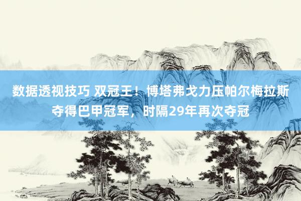 数据透视技巧 双冠王！博塔弗戈力压帕尔梅拉斯夺得巴甲冠军，时隔29年再次夺冠