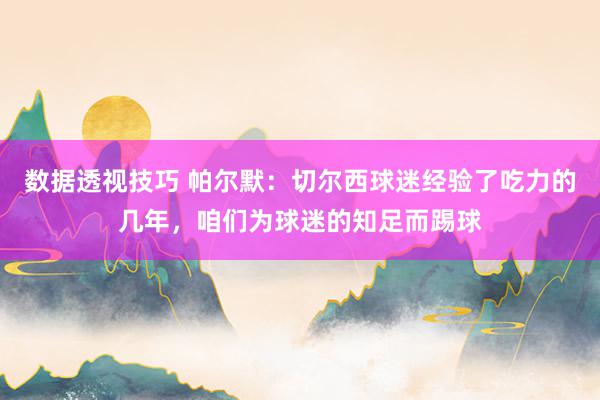 数据透视技巧 帕尔默：切尔西球迷经验了吃力的几年，咱们为球迷的知足而踢球