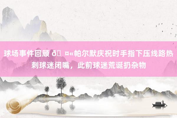 球场事件回顾 🤫帕尔默庆祝时手指下压线路热刺球迷闭嘴，此前球迷荒诞扔杂物