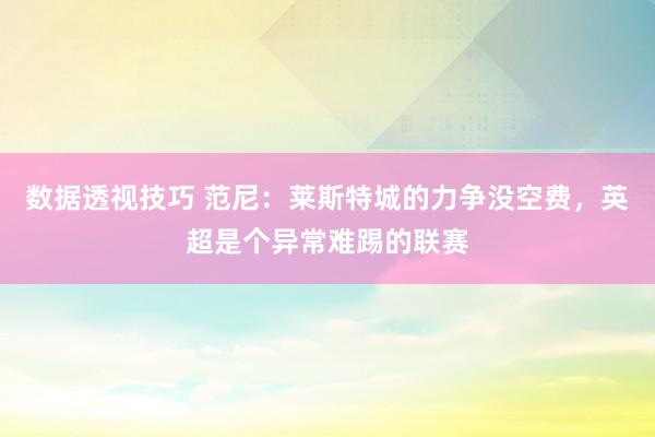 数据透视技巧 范尼：莱斯特城的力争没空费，英超是个异常难踢的联赛