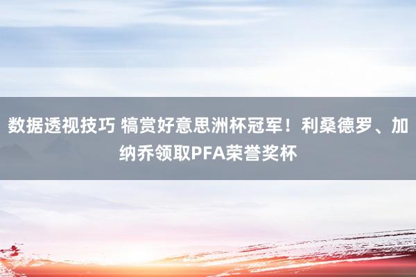 数据透视技巧 犒赏好意思洲杯冠军！利桑德罗、加纳乔领取PFA荣誉奖杯