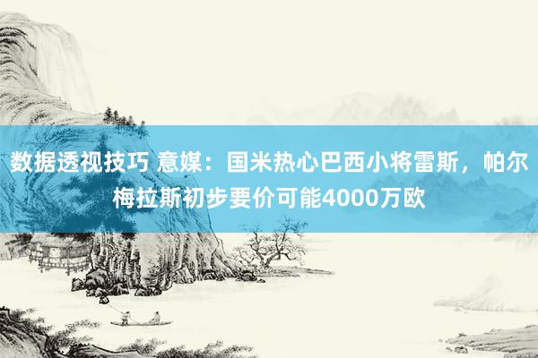 数据透视技巧 意媒：国米热心巴西小将雷斯，帕尔梅拉斯初步要价可能4000万欧