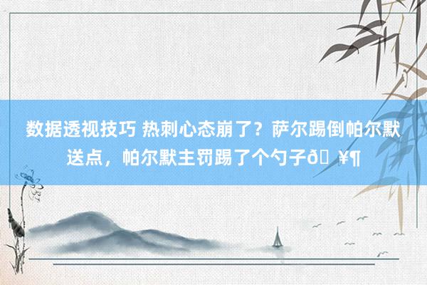 数据透视技巧 热刺心态崩了？萨尔踢倒帕尔默送点，帕尔默主罚踢了个勺子🥶