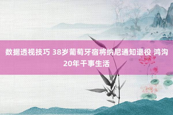 数据透视技巧 38岁葡萄牙宿将纳尼通知退役 鸿沟20年干事生活