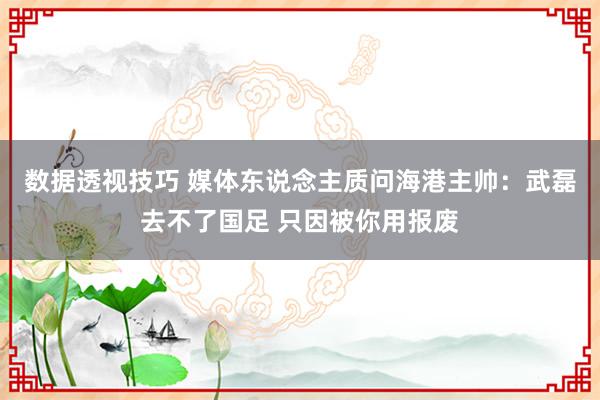 数据透视技巧 媒体东说念主质问海港主帅：武磊去不了国足 只因被你用报废