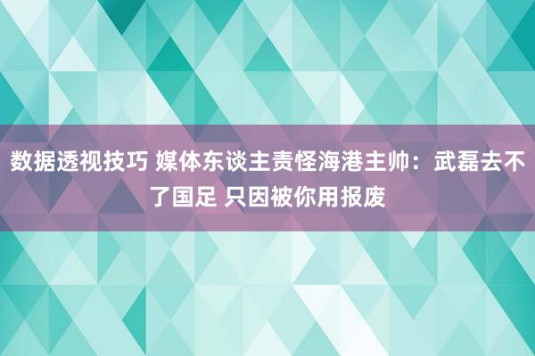 数据透视技巧 媒体东谈主责怪海港主帅：武磊去不了国足 只因被你用报废