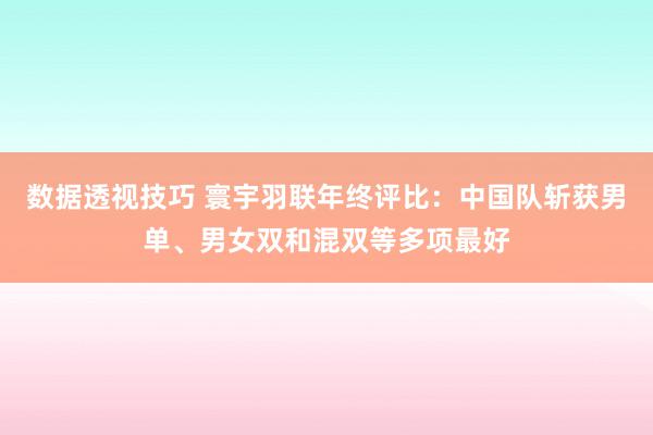 数据透视技巧 寰宇羽联年终评比：中国队斩获男单、男女双和混双等多项最好